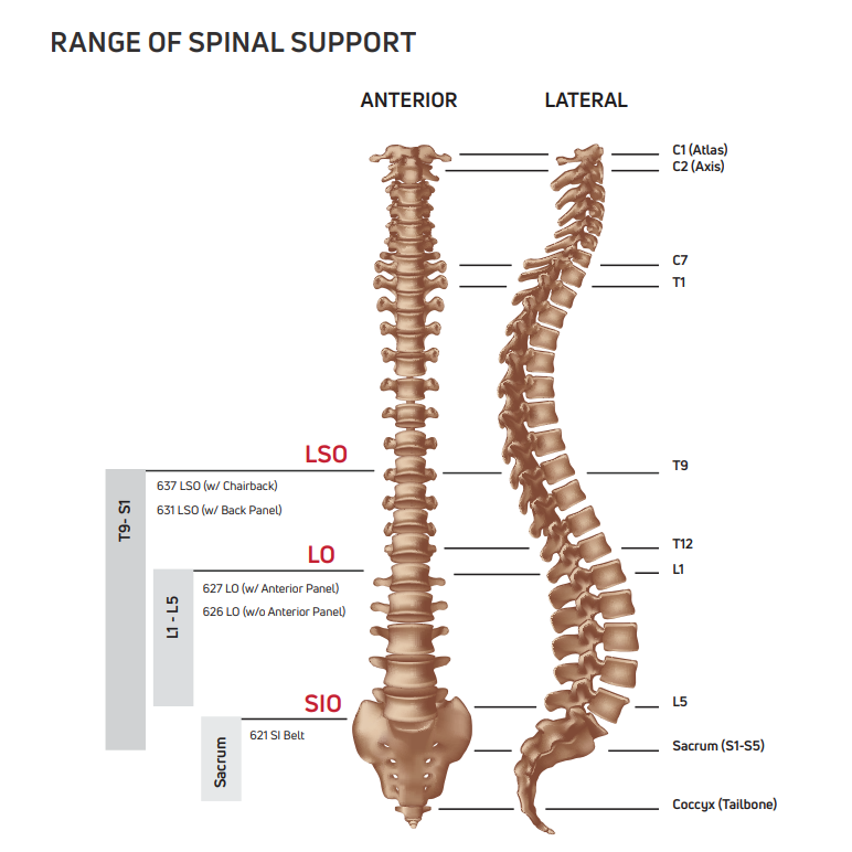 Supporting Your Spine: The Role of Back Braces in Pain Relief and Healing